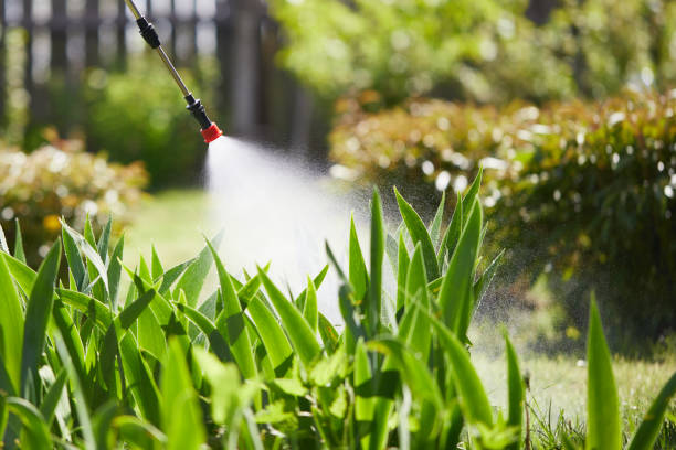 24/7 Emergency Mosquito Control experts in South Shore, KY