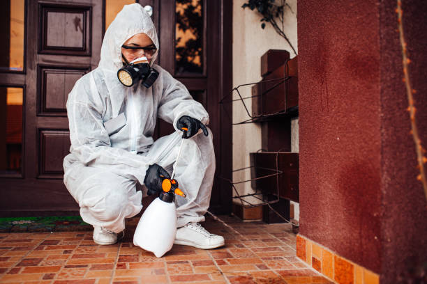 Reliable Mosquito Control contractor in South Shore, KY by Show Me Pest Control