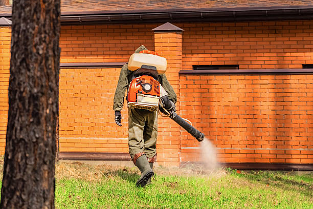 Top rated local Mosquito Control specialists in South Shore, KY